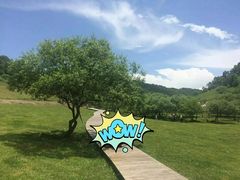 -大水川景区
