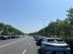 -上海佘山国家森林公园天马山园