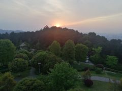 -铁山坪森林公园