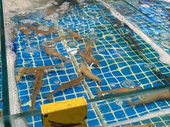 -阿浪海鲜连锁加工店(B栋2排1号火车头店)
