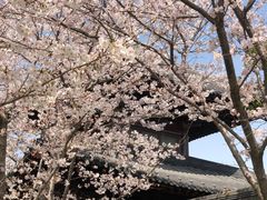 -广富林郊野公园