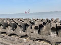 -上海滨江森林公园