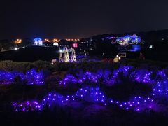 -大塘金香草谷