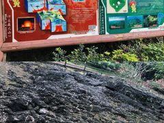 -海口火山口国家地质公园