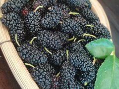 -名花谷生态庄园