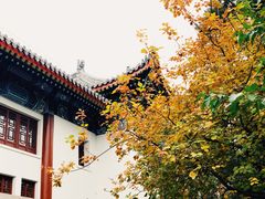 -北京大学赛克勒考古与艺术博物馆