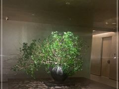 -隐溪茶馆(静安寺店)