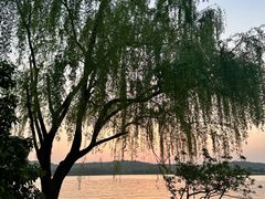 -望海·帆船主题咖啡厅•品茗下午茶(石湖景区店)
