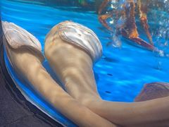 -徐记海鲜(大雁塔|金都店)