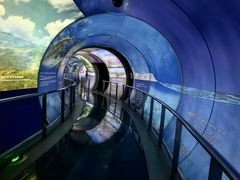 -房山世界地质公园博物馆