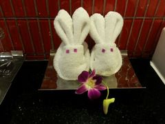 android_upload_pic-普吉岛卡塔阿维斯塔诺富特酒店度假村