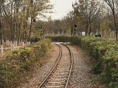 -西青郊野公园