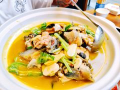 黄焖鲟龙鱼-饭怕鱼(阳光100店)