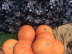 -老阿爸江浙土菜(奥体中心店)