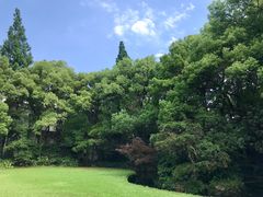 -上海市工艺美术博物馆
