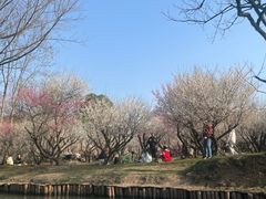 -西溪国家湿地公园