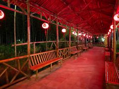 -长兴慧子土特产茶行