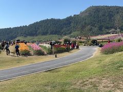 -径山花海