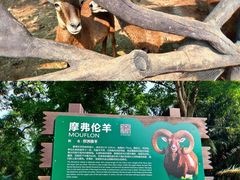 -海南热带野生动植物园