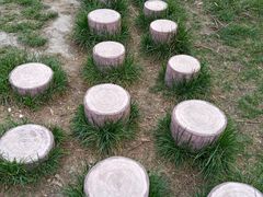 -桤木河湿地公园