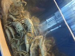 -海天盛宴新派海鲜自助餐厅(群力店)