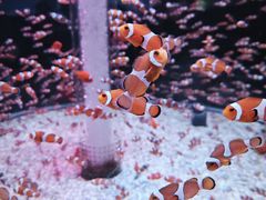 -海合安成都极地海洋公园