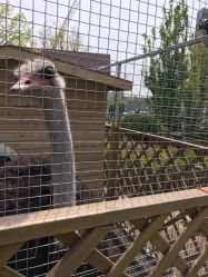 -萌宠亲子动物乐园(槐房万达店)