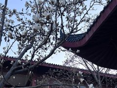 -堤角公园