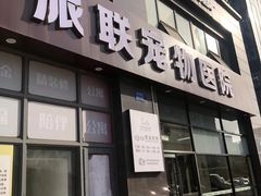 -派联宠物医院·24h·CT·异宠