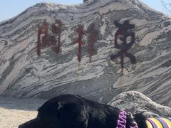 -东梓关景区村庄