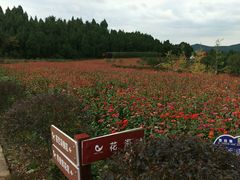 -中国香山·寿香谷