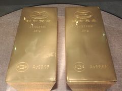 -烟台自然博物馆