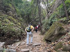 -大岭沟猕猴桃谷风景区