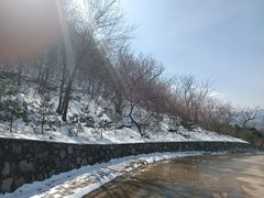-红光山