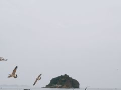 -棒棰岛宾馆景区