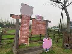 -田园东方蜜桃村的田野营地
