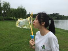 -瑶湖郊野森林公园