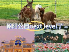 -朝阳公园