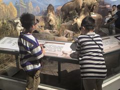 -陕西自然博物馆