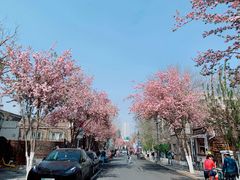 -天津五大道文化旅游区