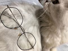 -罗创丹阳眼镜(童卫路店)