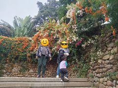 -仙岳公园