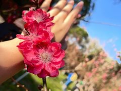 -桃花涧