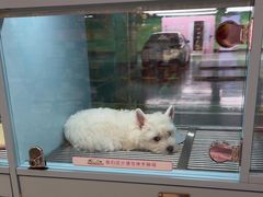 -FAELING PETS美天灵宠物(合生汇店)