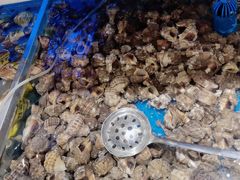 -海天一色海景自助餐厅(西港花园店)