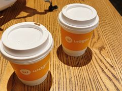 -Wagas沃歌斯(枫蓝国际店)