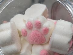 -猫咪博物馆(顶澳仔猫街店)