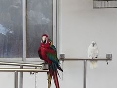 -南戴河国际娱乐中心