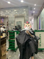 -YDO SALON