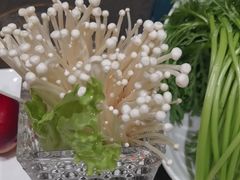 -蒙都43°9羊火锅(平庄店)